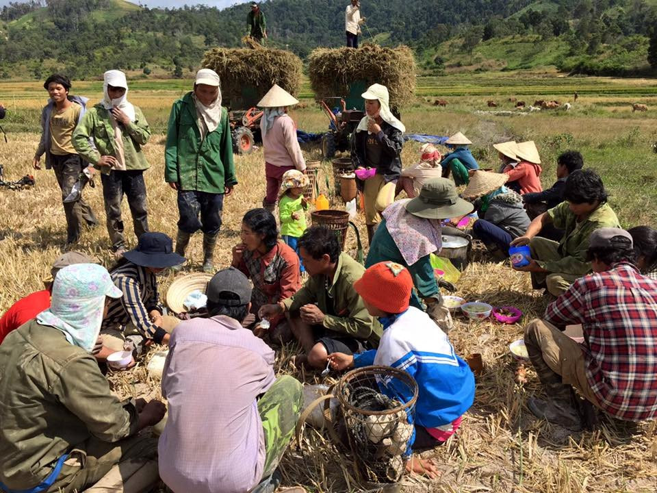 Dã quỳ bừng sắc những ngày đầu thu, núi lửa Chư Đăng Ya, Gia Lai hóa 'nàng thơ'