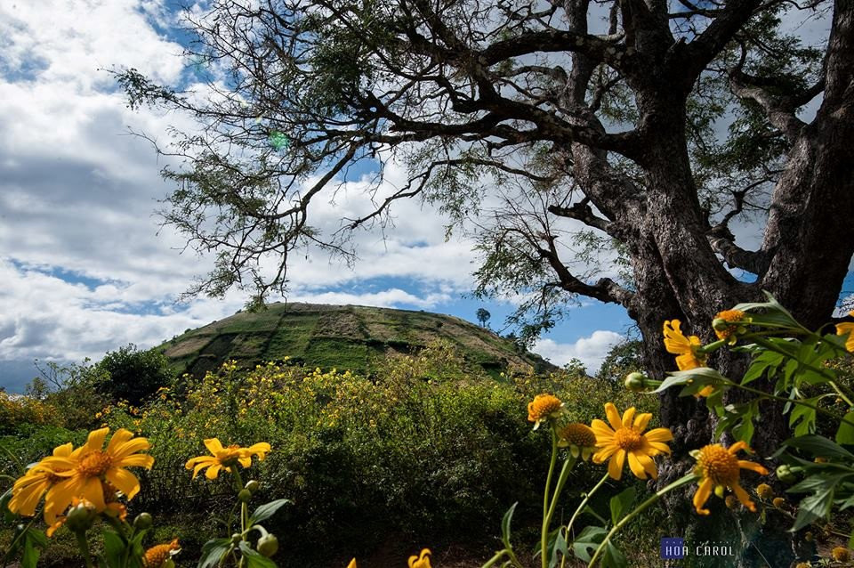 Dã quỳ bừng sắc những ngày đầu thu, núi lửa Chư Đăng Ya, Gia Lai hóa 'nàng thơ'