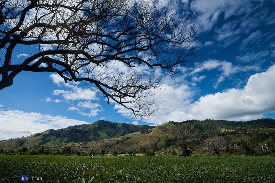Dã quỳ bừng sắc những ngày đầu thu, núi lửa Chư Đăng Ya, Gia Lai hóa 'nàng thơ'