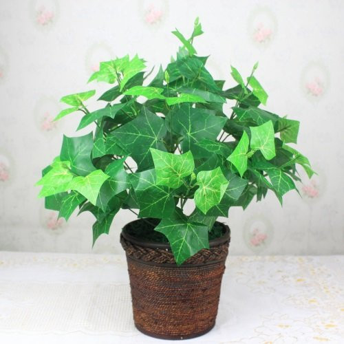 Muốn đắc tài, sai lộc nhất định phải thuộc lòng quy tắc trồng cây theo mệnh dưới đây