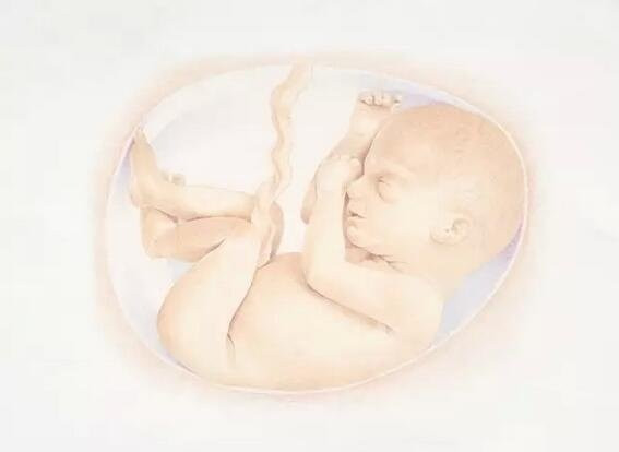 Mẹ có đặc điểm này, dù muốn sinh thường đến đâu vẫn phải ngậm ngùi sinh mổ