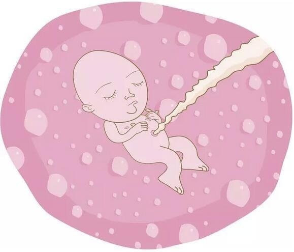 Mẹ có đặc điểm này, dù muốn sinh thường đến đâu vẫn phải ngậm ngùi sinh mổ