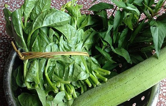 Image result for rau đay mồng tơi