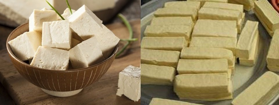 Image result for phân biệt đạu phụ chưa thạch cao