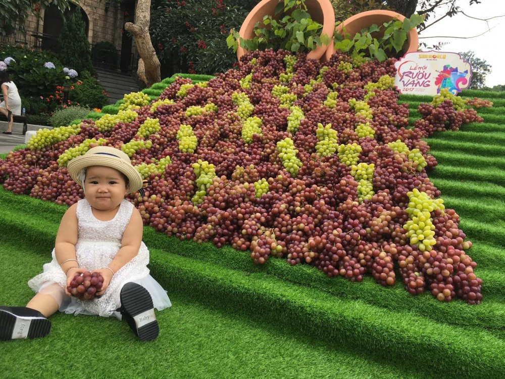 ảnh lễ hội rượu vang bà nà hills