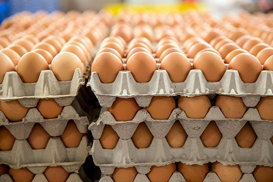 production-process-General-Brown-Eggs