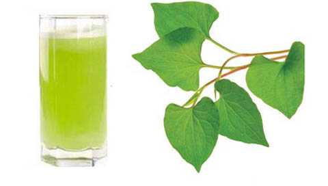 chua-tri-benh-tri-bang-rau-diep-ca