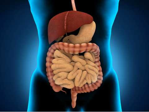 x09-1470723454-pic2.jpg.pagespeed.ic.FofwyTWVfe