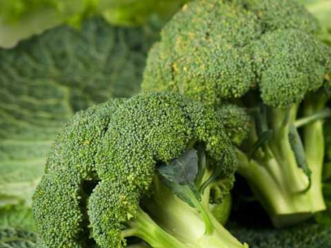 xbroccoli-20-1471670367.jpg.pagespeed.ic.nwFzso0xve