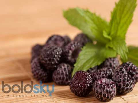 x22-1471834054-low-sugar-fruit5.jpg.pagespeed.ic.X7svbKIVr7