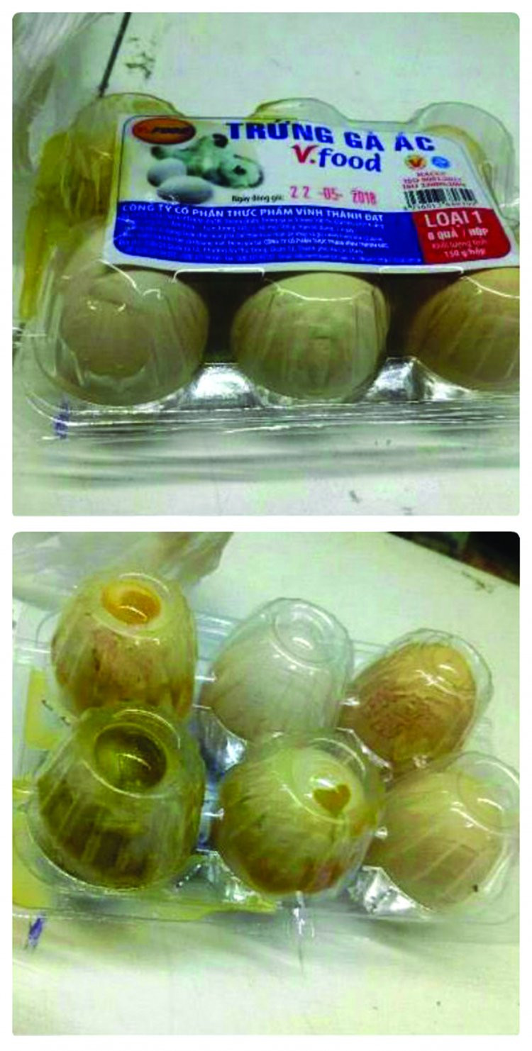 collage_photocat-0835