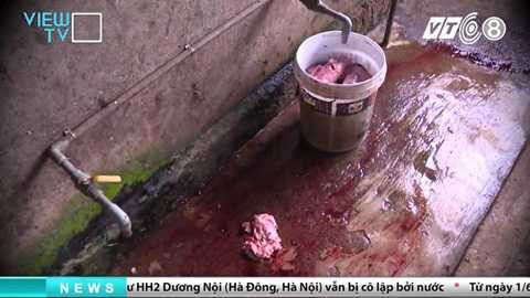 tham-nhap-lo-giet-mo-heo-banduong day mua ban heo chet dong nai_1