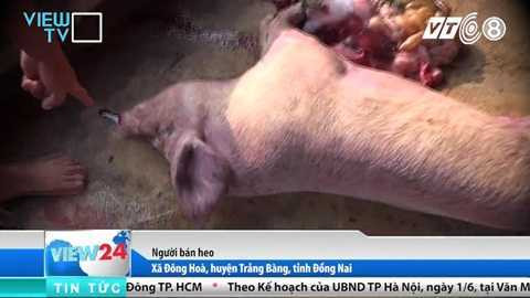 tham-nhap-lo-giet-mo-heo-banduong day mua ban heo chet dong nai_5