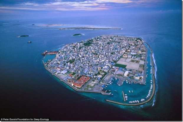 tan-pha-thien-nhien-12