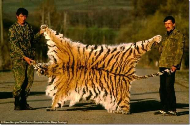 tan-pha-thien-nhien-16