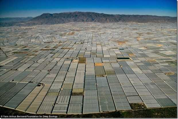 tan-pha-thien-nhien-17