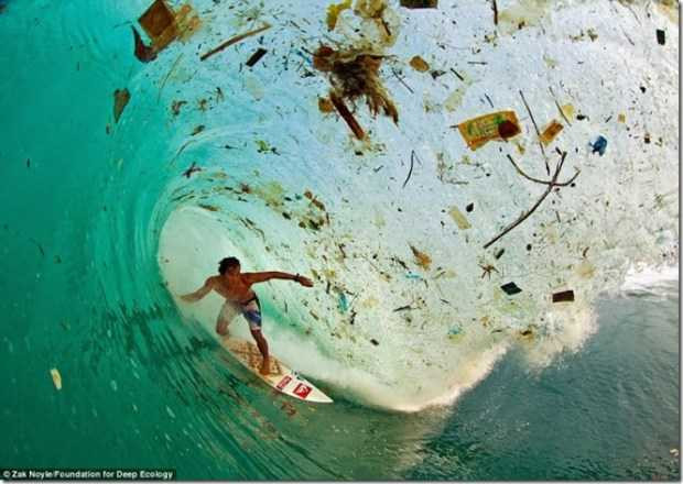 tan-pha-thien-nhien-2