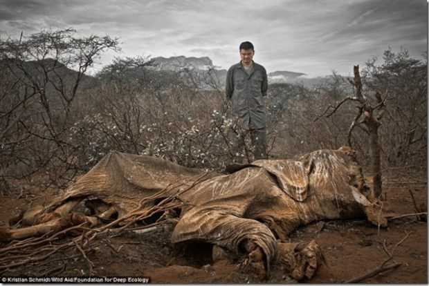 tan-pha-thien-nhien-27