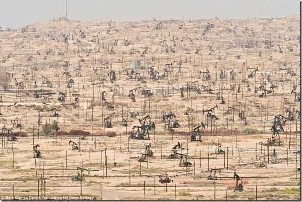 tan-pha-thien-nhien-5