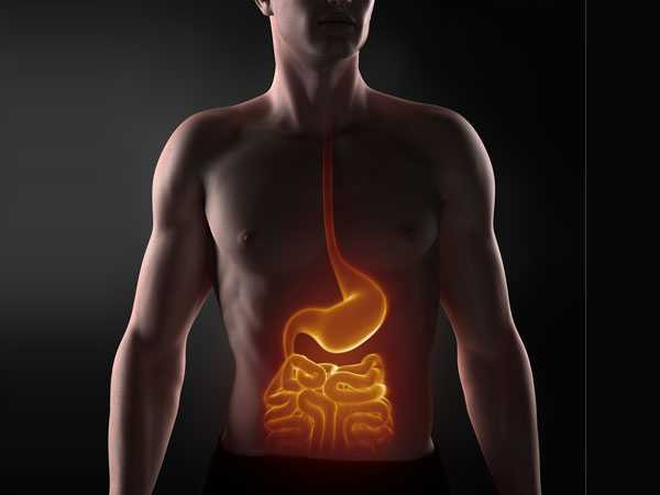 thuc pham xay sinh to 3