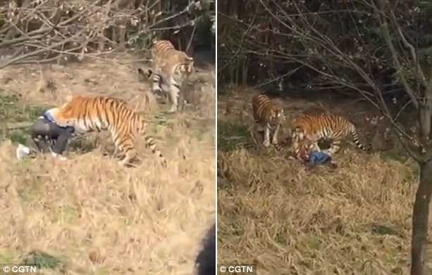 ho vo chet nguoi trong cong vien hoang da
