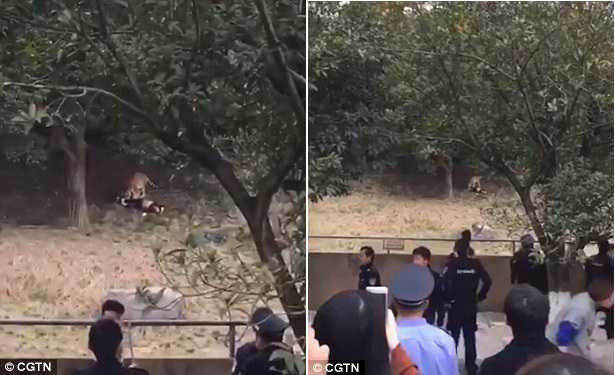 ho vo chet nguoi trong cong vien hoang da 2