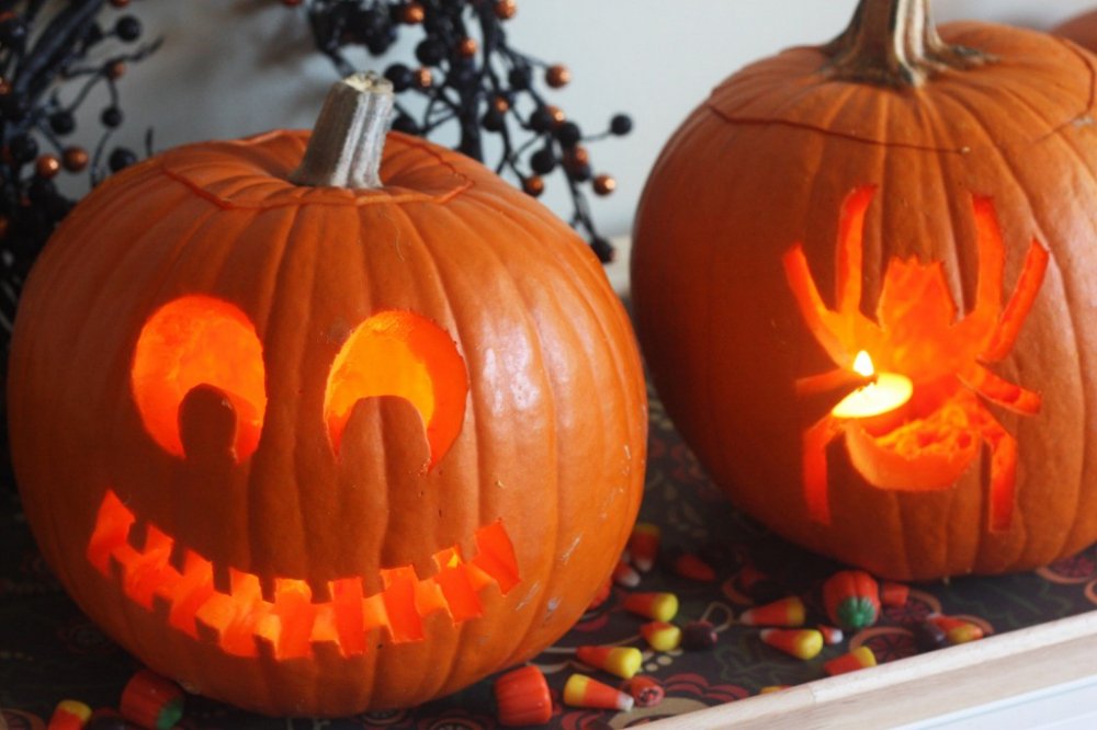 bi ngo halloween
