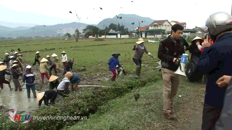 linh muc phan dong 2