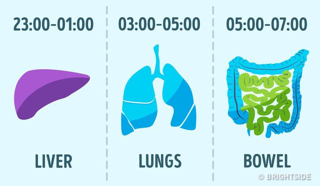 thoi quen giup song lau 3 3