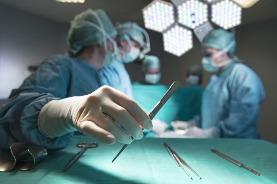 cat bao quy dau hong