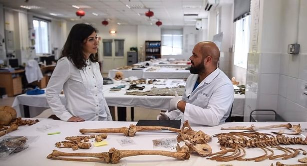 cay moc len tu xac chet