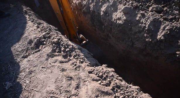 cay moc len tu xac chet 2 3