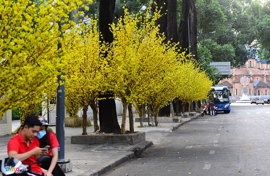 16_nha_van_hoa_thanh_nien_zing_1 28