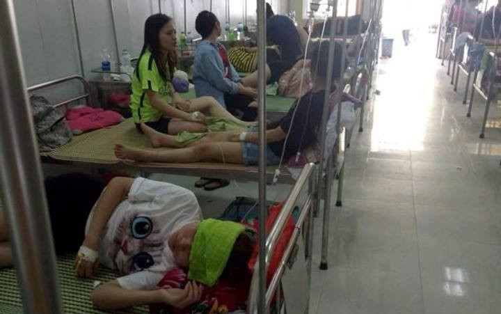 32727630_958964607590302_7091232056440520704_n