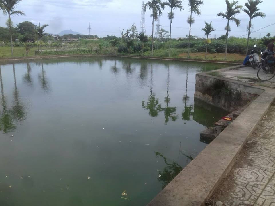 35987468_1411710088975855_8332571759257583616_n