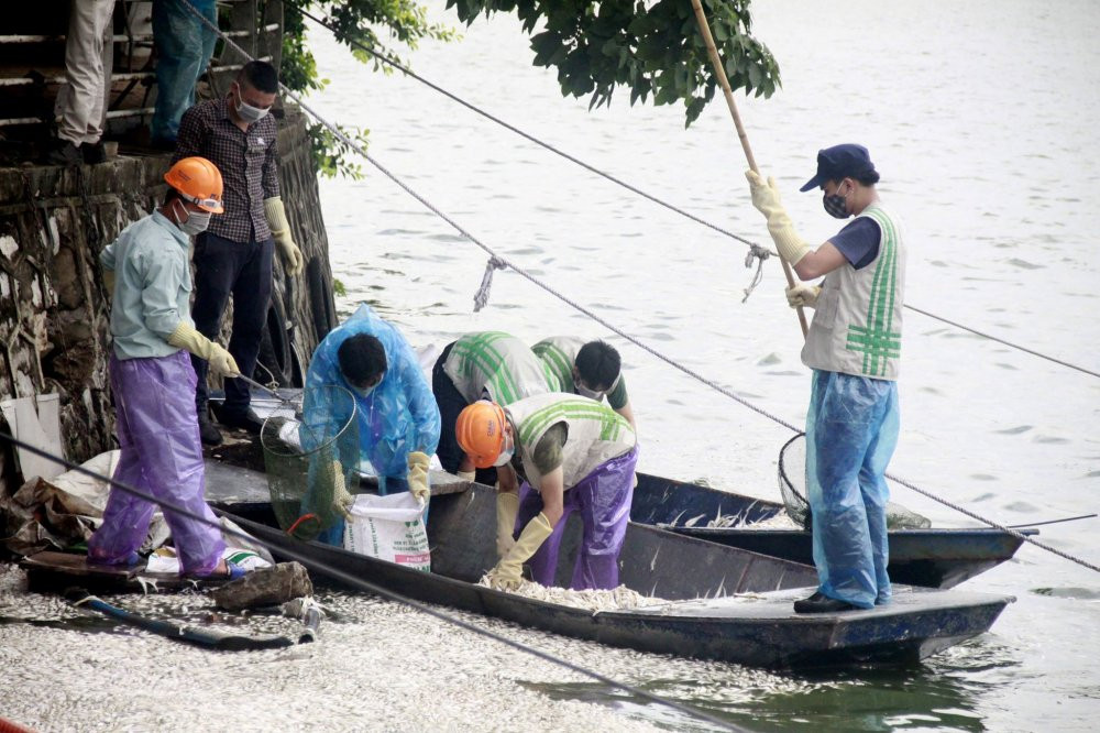 36835434_1568165586626974_8263529245146349568_n