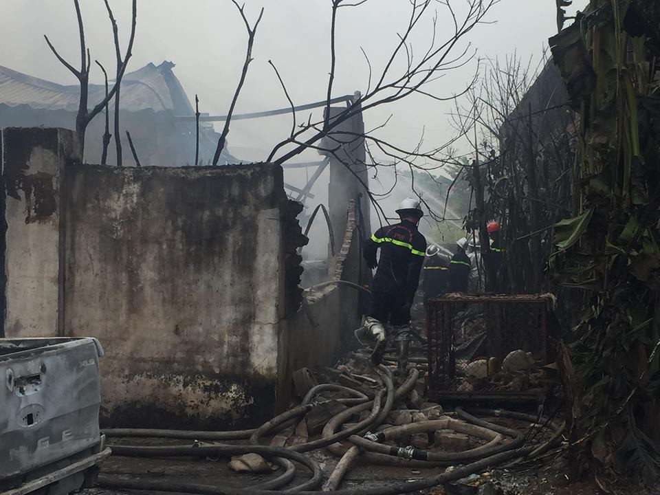 39685796_2151291871806157_2510218027266473984_n 6