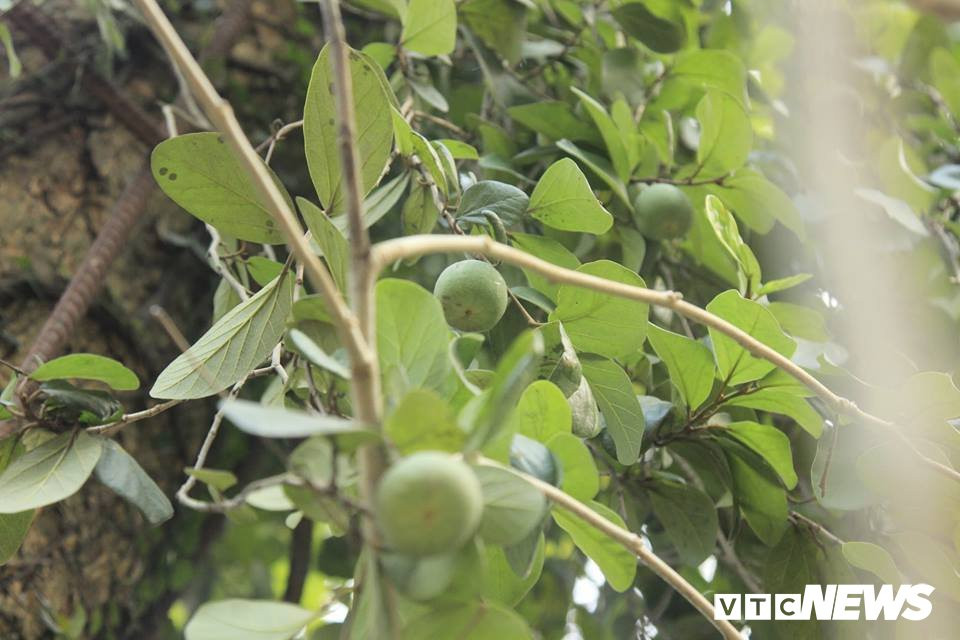 43342678_741139002898331_3849536022983475200_n 11