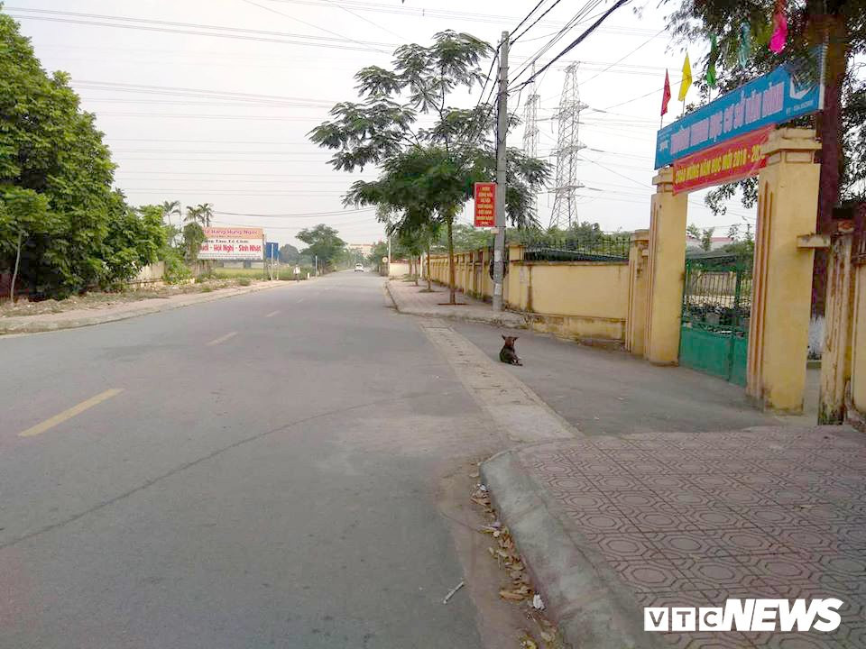 43756763_872111429846038_3905267351112646656_n