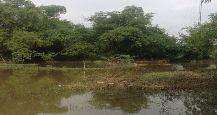 37216a432105c85b9114