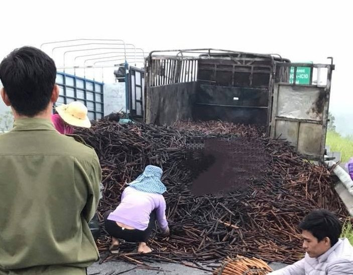 45527269_1289456237862815_7131353566450548736_n