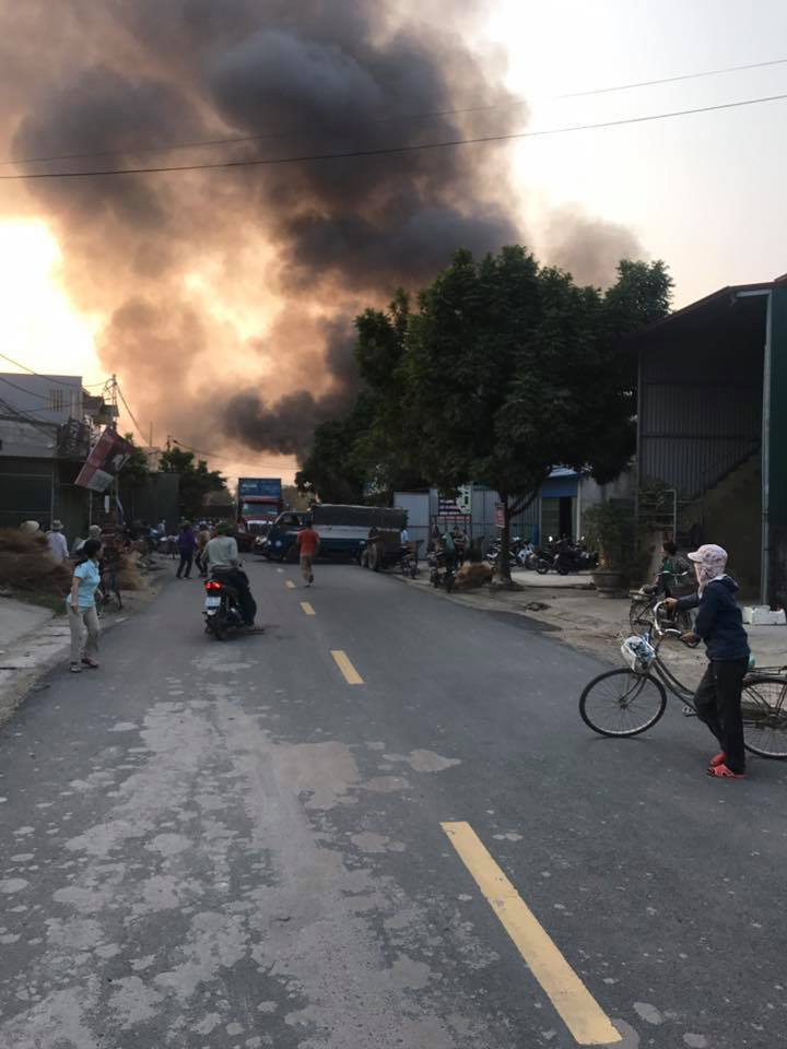 46908891_152649412367626_7150575013978963968_n