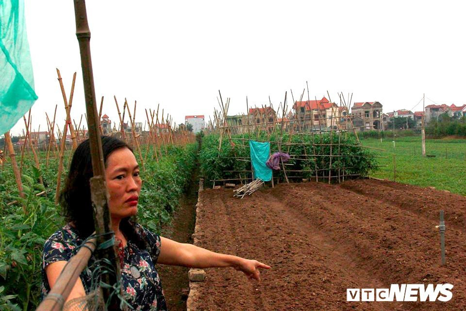 46043101_1199421370198166_3758862039229923328_n-3-1011478