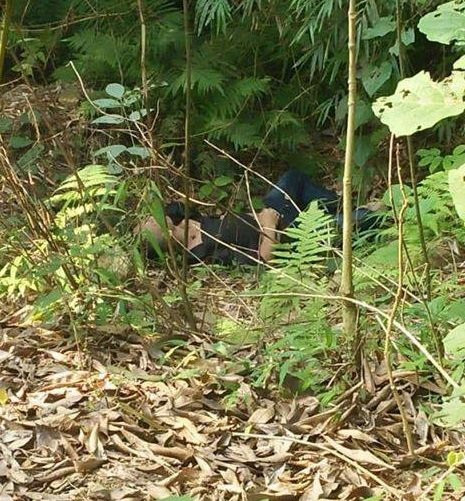 47394676_1440163999447512_9125339610187038720_n