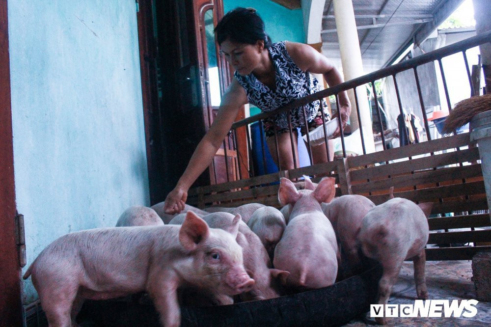 img_1233-8-1745261 7