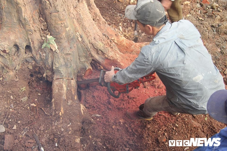 50782978_234134827472682_1511588326505709568_n 5