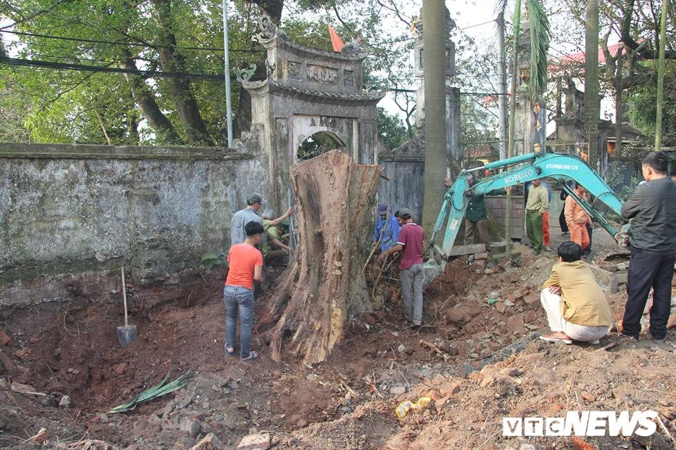 50902155_404108007005532_6022499109200461824_n