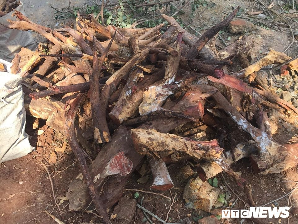 50927186_239214090343701_6780667103025299456_n 10