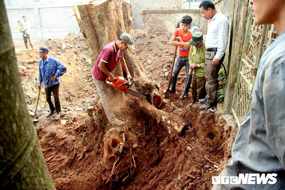 50938172_2026107617437316_1087492471035789312_n 4