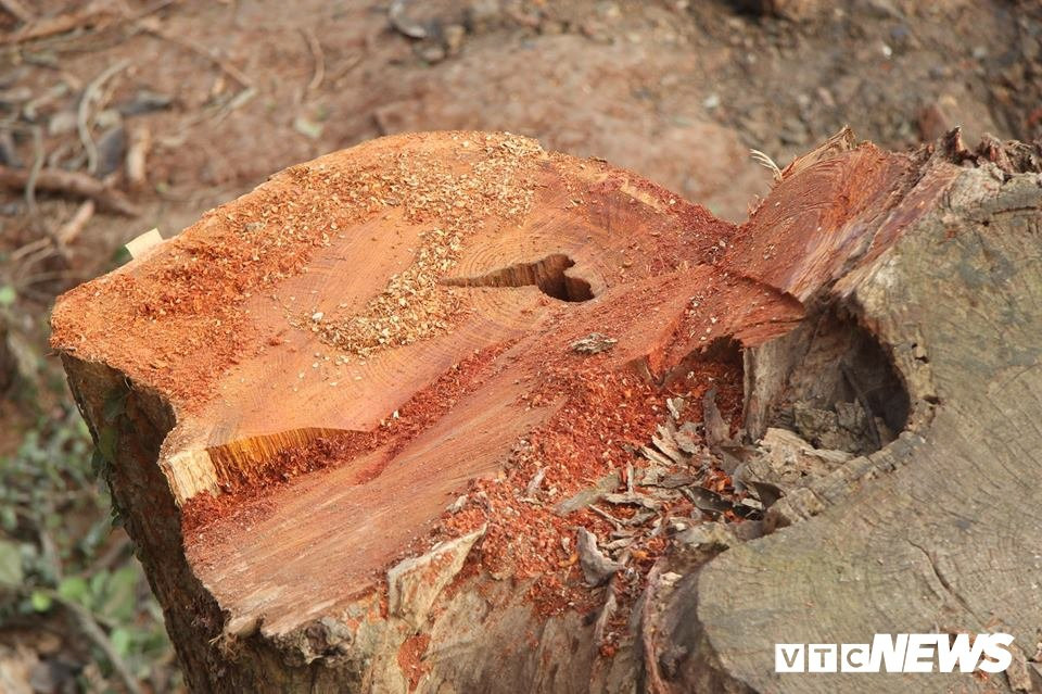 51010759_396958527722725_3907321320437710848_n 6